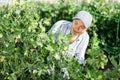 Female horticulturist maintaining garden in hothouse