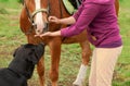 Caucasian woman is standing on the ground and giving her horse the treat in outdoors Royalty Free Stock Photo