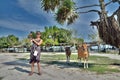 Caucasian woman takes selfie with cows under the blue sky in Vietnam