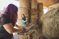 Woman working with the ranch loading hay to a wheelbarrow Royalty Free Stock Photo