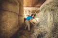 Woman taking out the hay for the horses to eat Royalty Free Stock Photo