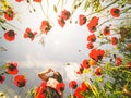 Caucasian young woman hold poppy flower close to face in summer field happy outdoors. Royalty Free Stock Photo