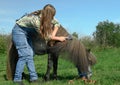 Caucasian young woman is taking care of the long mane of her small gray horse in outdoors Royalty Free Stock Photo