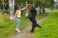 Girl is training black briard with help of toy outdoor.