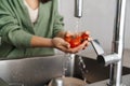 Caucasian young woman washing tomatoes at home kitchen Royalty Free Stock Photo