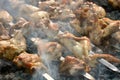 Caucasus barbecue Royalty Free Stock Photo
