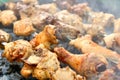 Caucasus barbecue Royalty Free Stock Photo