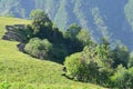 Caucasus mixed forests in Ilisu natural reserve, north-western Azerbaijan