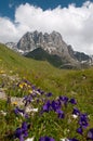 Caucasus Mountains - Chaukhi mountain group