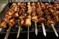 Caucasus shashlik (barbecue)