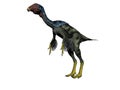 Caudipteryx dinosaur - 3d render Royalty Free Stock Photo