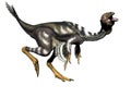 Caudipteryx dinosaur - 3d render Royalty Free Stock Photo