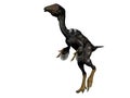 Caudipteryx dinosaur - 3d render Royalty Free Stock Photo