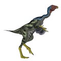 Caudipteryx dinosaur walking - 3D render Royalty Free Stock Photo