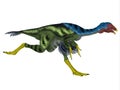 Caudipteryx Dinosaur Running