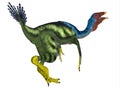 Caudipteryx Dinosaur Tail