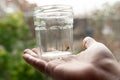 A Caught big dark common house spider in a glass jar held in a human hand in a residential home Royalty Free Stock Photo