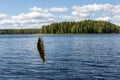 Caught fish on the background of beautiful lake landscape Royalty Free Stock Photo