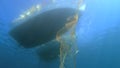 Caught Fish in Net Hanging From Boat Under Sea