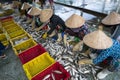 Caught fishes sorting to baskets by Vietnamese women workers in Tac Cau fishing port, Me Kong delta province of Kien Giang, south Royalty Free Stock Photo