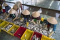 Caught fishes sorting to baskets by Vietnamese women workers in Tac Cau fishing port, Me Kong delta province of Kien Giang, south Royalty Free Stock Photo