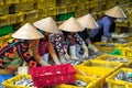 Caught fishes sorting to baskets by Vietnamese women workers in Tac Cau fishing port, Me Kong delta province of Kien Giang, south