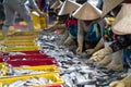 Caught fishes sorting to baskets by Vietnamese women workers in Tac Cau fishing port, Me Kong delta province of Kien Giang, south Royalty Free Stock Photo