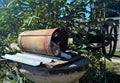 Cat caught sleeping in the water well bucket Royalty Free Stock Photo