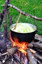 Cauldron with cabbage on outdoor camping