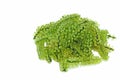 Caulerpa lentillifera seaweed or sea grapes or green caviar healthy food isolated with white background