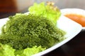 Caulerpa lentillifera seaweed is a species of bryopsidale green