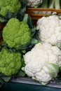 Cauliflower Royalty Free Stock Photo