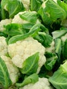 Cauliflower