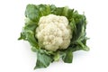 Cauliflower Royalty Free Stock Photo