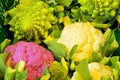 Cauliflower Royalty Free Stock Photo
