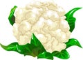 Cauliflower