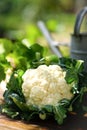 Cauliflower