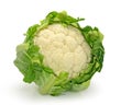 Cauliflower Royalty Free Stock Photo