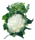 Cauliflower