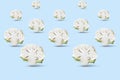 Cauliflower on blue background. Isometric pattern