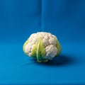 The vegetable displays a bumpy texture typical of cauliflower Royalty Free Stock Photo