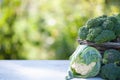 Cauliflower and broccoli in a basket on a natural green background, space for text Royalty Free Stock Photo