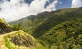 Cauliflower / Broccoli forest view point in Avalanche near Upper Bhavani in Nilgiris Royalty Free Stock Photo