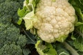 Cauliflower & Broccoli Royalty Free Stock Photo