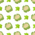 Cauliflower and Broccoli Seamless Pattern Isolated Royalty Free Stock Photo