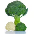 Cauliflower and broccoli vegettable