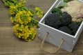 Cauliflower and Broccoli in a white wooden container Royalty Free Stock Photo