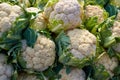 Cauliflower cabbage texture pattern stacked in rows