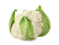 Cauliflower cabbage on white background Royalty Free Stock Photo