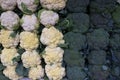 Cauliflower